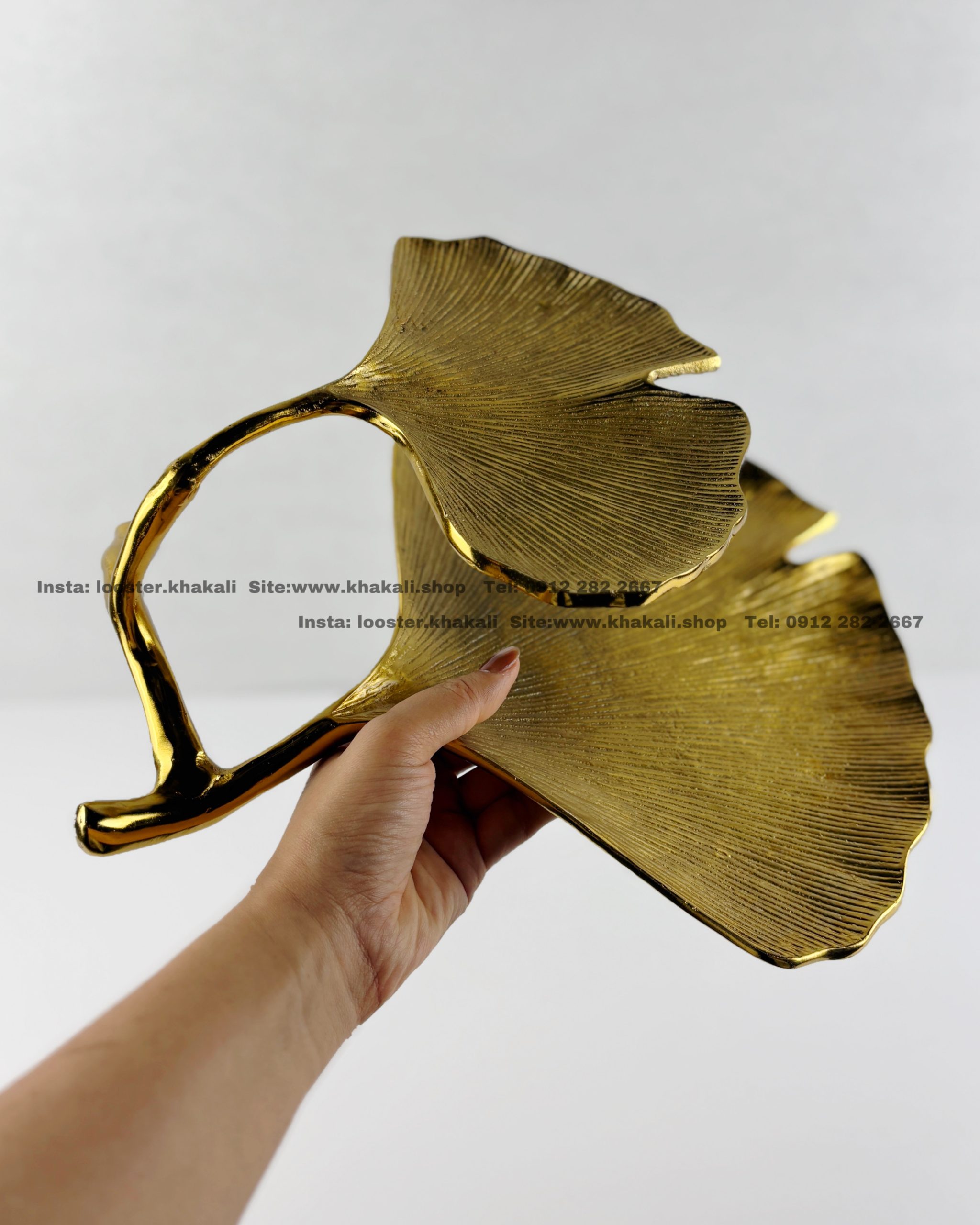 ظروف پذیرایی