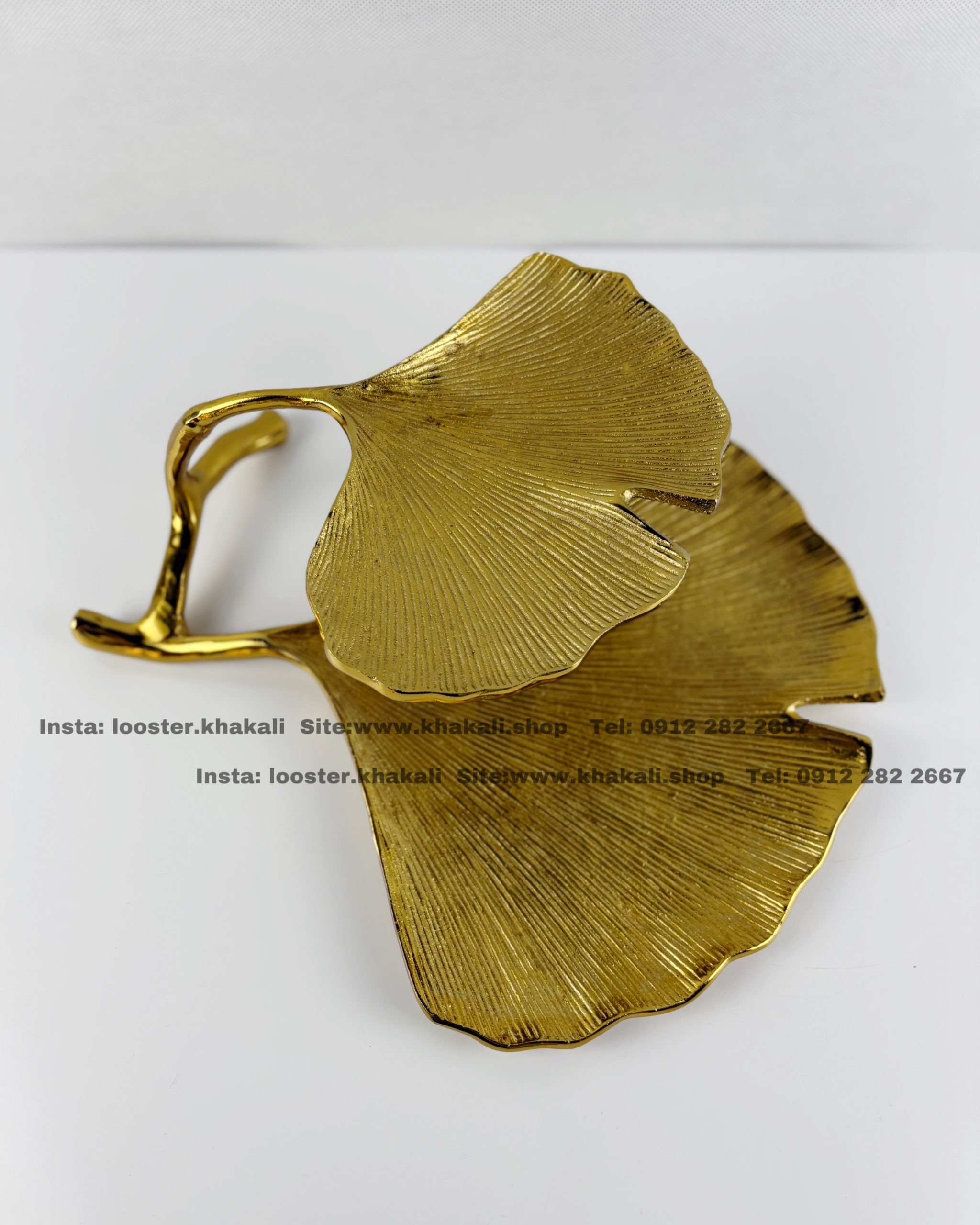 ظروف پذیرایی