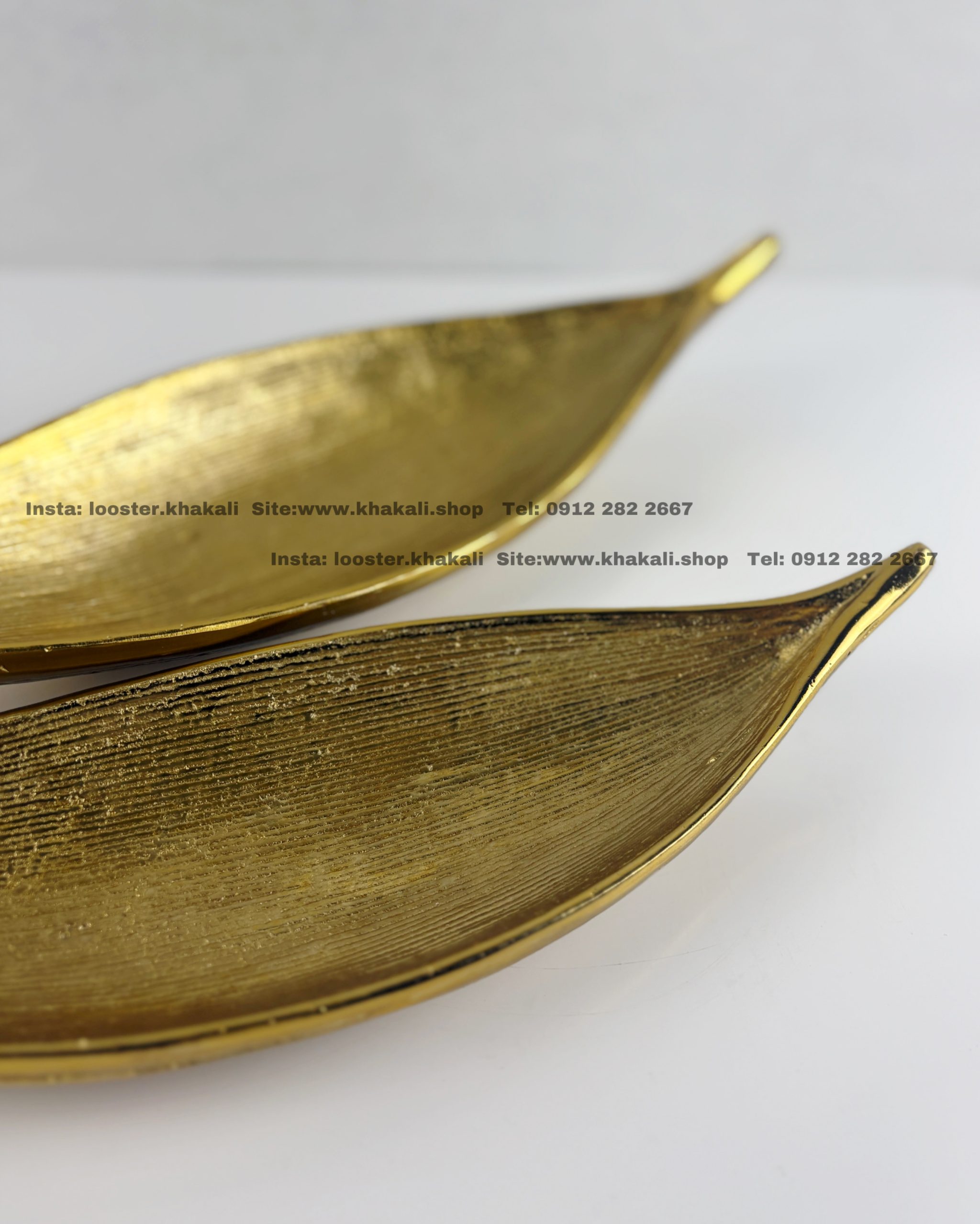 ظروف پذیرایی