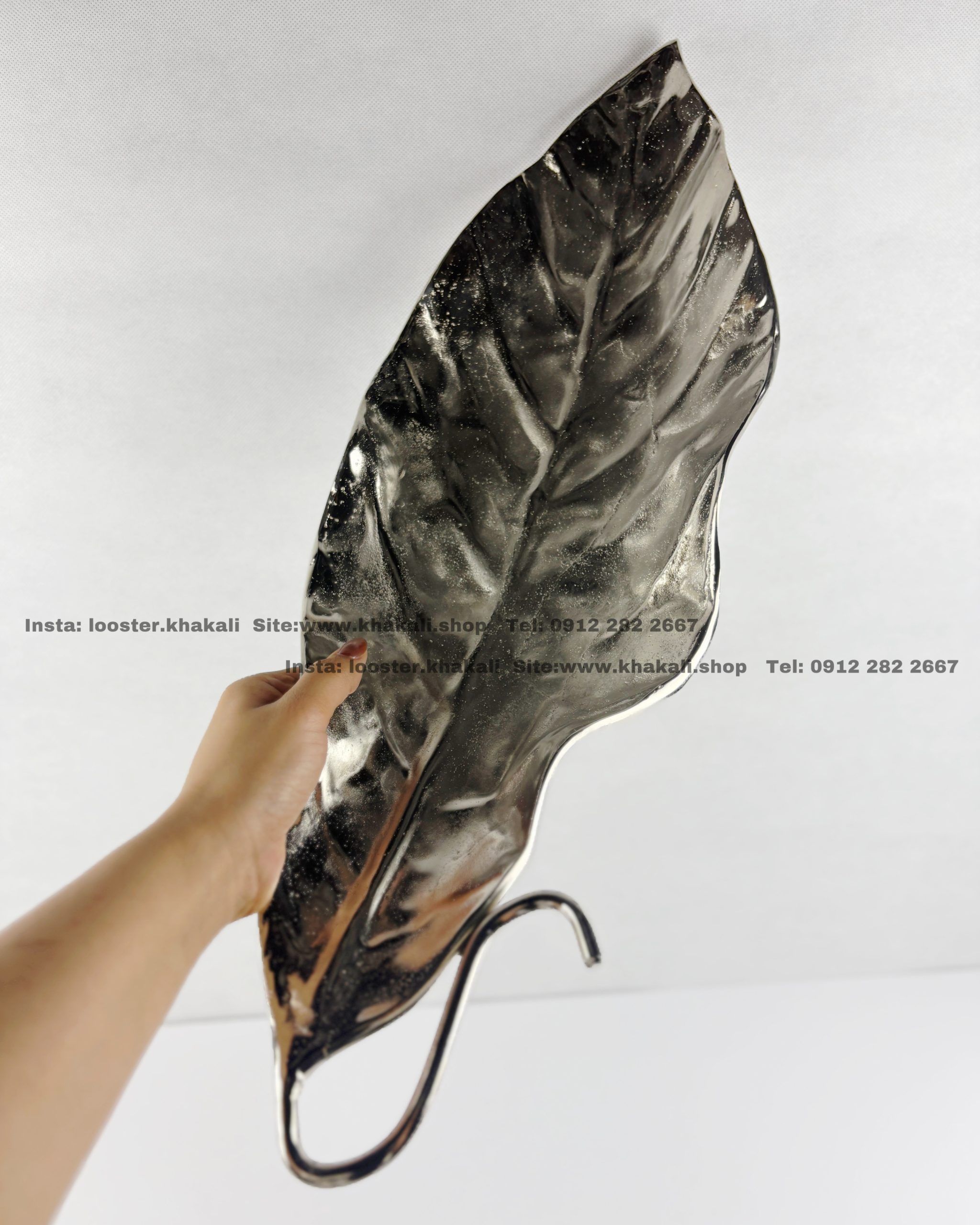 ظروف پذیرایی