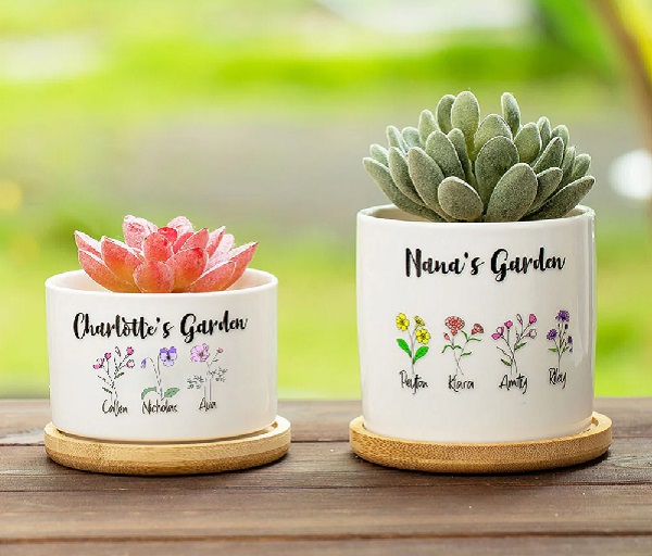 گلدان های شیک برای کادو روز مادر